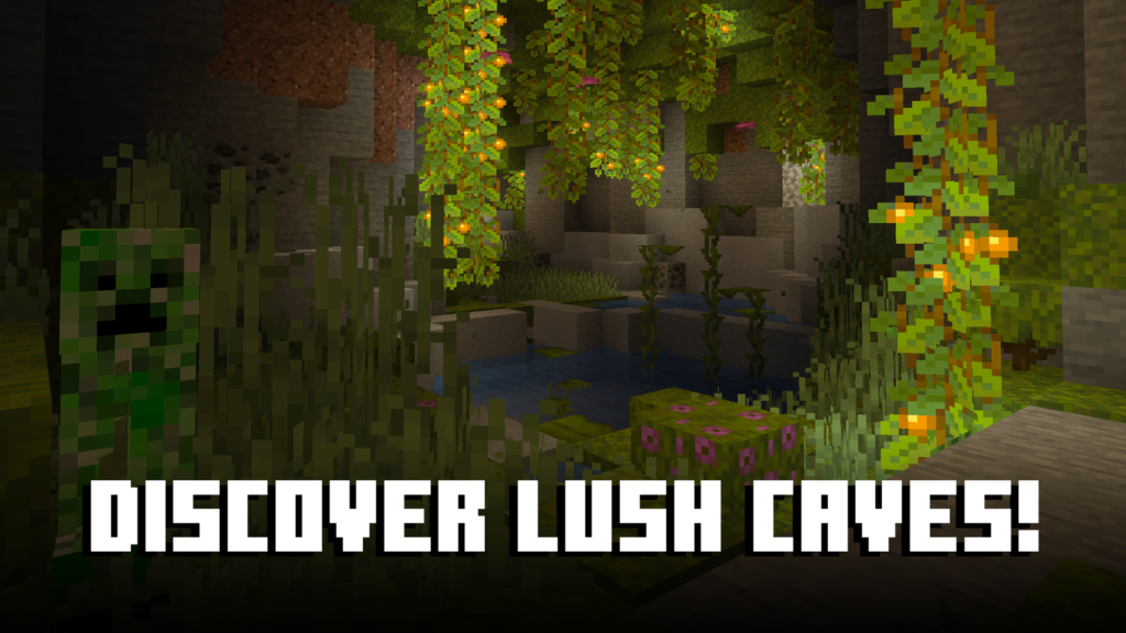Official screenshot for Minecraft: Play with Friends!